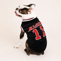 Maillot All-Star 11
