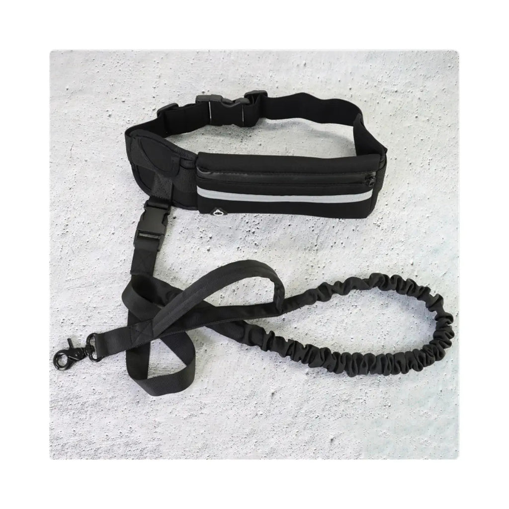 La Ceinture Canicross