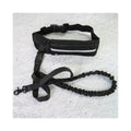 La Ceinture Canicross