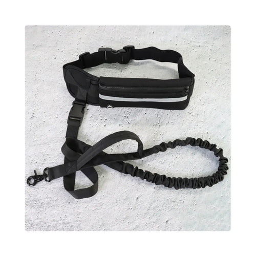 La Ceinture Canicross