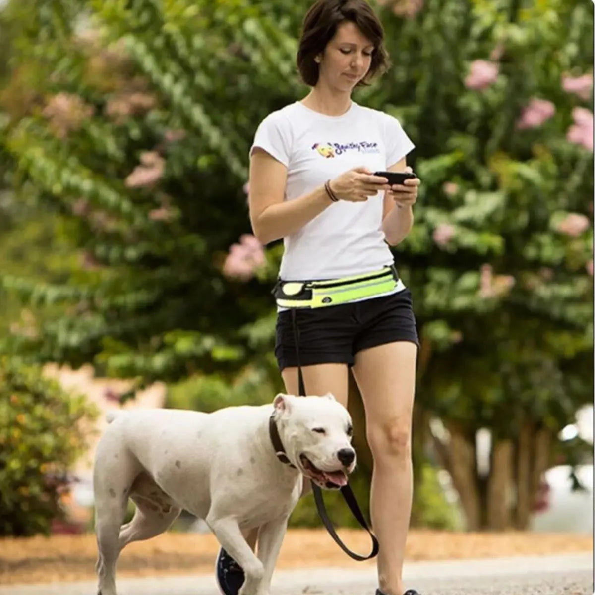 Course avec un chien grâce à la ceinture canicross