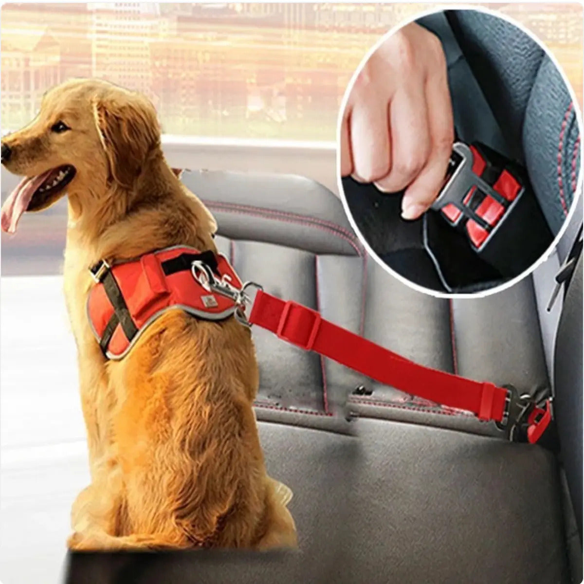 La Ceinture Auto