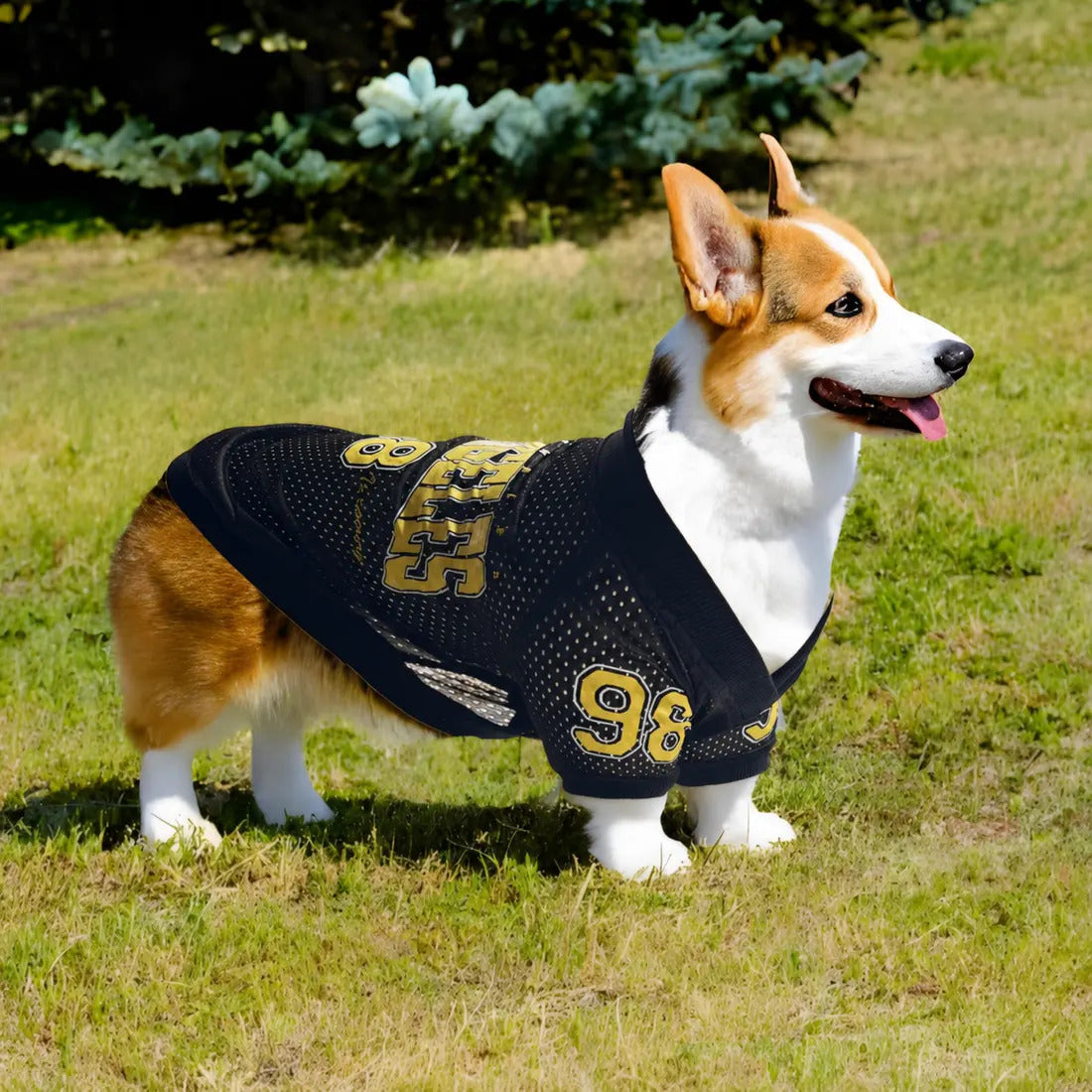 Maillot Club 96