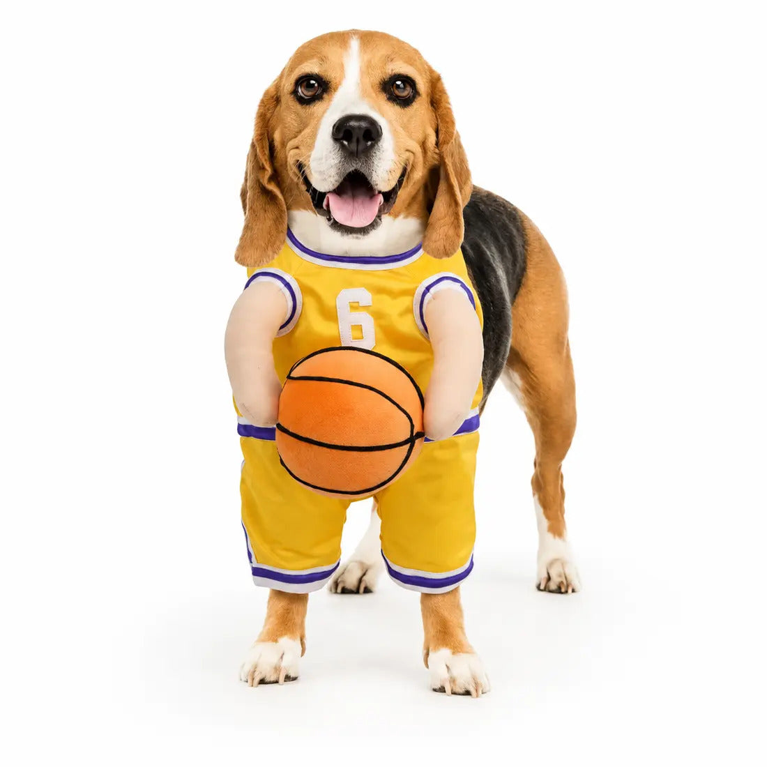 Petit Dunker