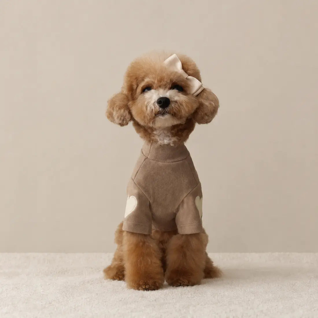 Le Pull Nuage