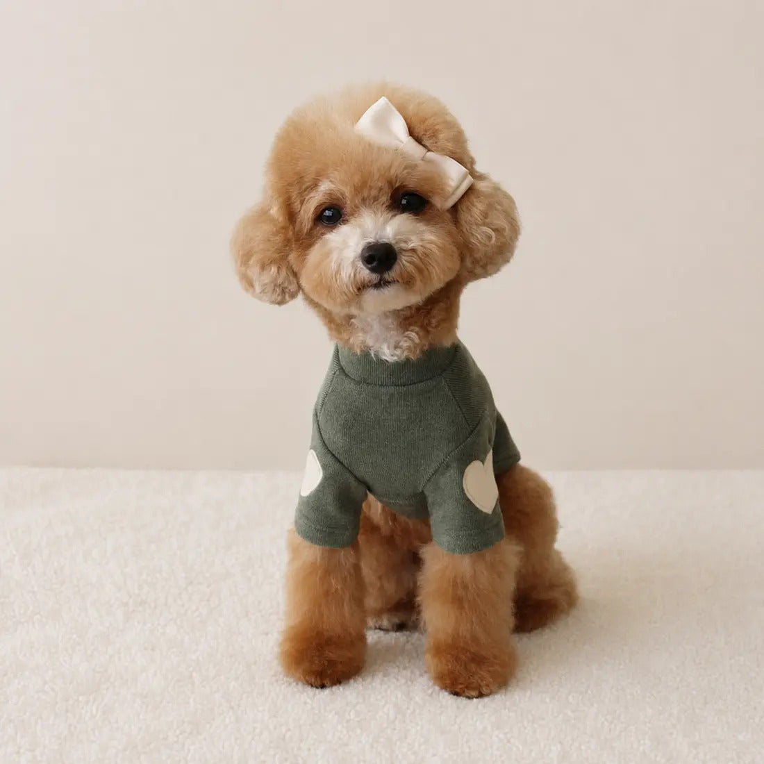 Le Pull Nuage